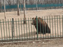 -秦皇岛野生动物园