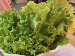 -杨记齐齐哈尔烤肉(总店)