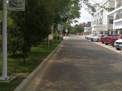 -金鸡岭桥头公园