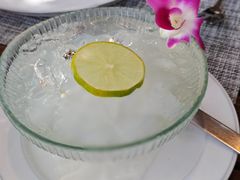 -卷心菜和避孕套餐厅(Pattaya)