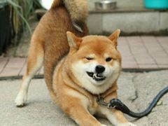 -水月·和牛工坊(水晶郦城店)