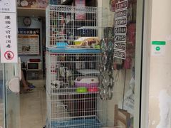 -清平路水族市场