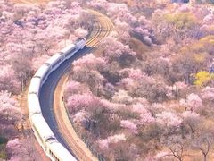 -居庸关长城
