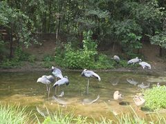 -北京野生动物园