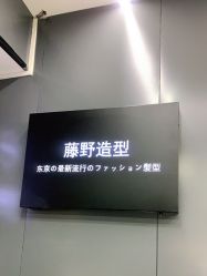 点击看大图 -藤野造型