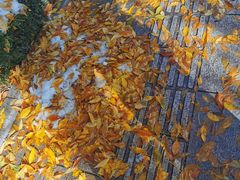 -朵朵开素食餐厅(后宰门街店)