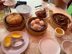 鲜虾饺皇-宝塘茶楼
