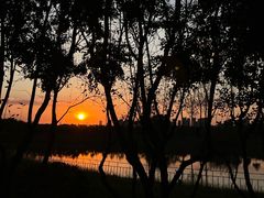 -合肥滨湖国家森林公园