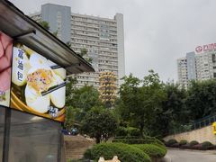 -五丁桥光头香辣蟹(望江橡树林店)
