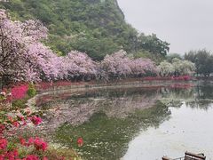 -星湖旅游景区七星岩