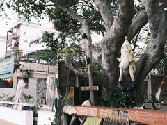 -城墙外BAR