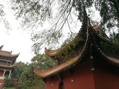 -南岳衡山风景名胜区-南岳大庙