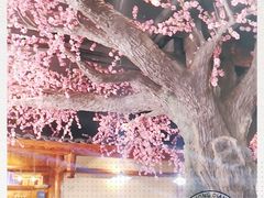 -张关合渣(朱家坳店)