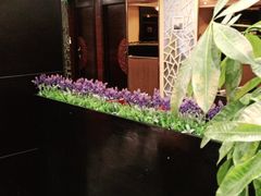 -皇城根·鲁菜济南菜·吊炉烤鸭·炒鸡鱼头(济南旗舰店)