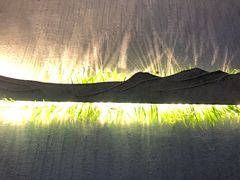 -迈格笙SPA·影院式足道·采耳(金桥店)