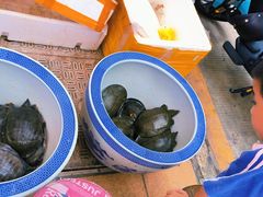 -黑牛码头·小龙虾·烧烤