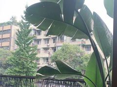 -生如夏花泰式火锅(西村黑金店)