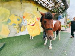 -宝燕乐园(闵行旗舰店)