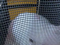 -全心全意连锁动物医院·微创中心·内科急重症·心脏专科(丰管路店)