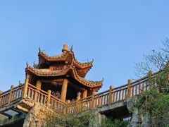 -南宁花花大世界景区