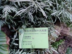 -华南国家植物园-售票处