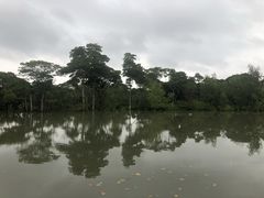 -东寨港红树林旅游区