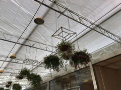 -名花谷生态庄园