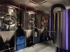 琥珀屋自酿啤酒-Ambra Haus琥珀屋精酿餐厅(宝山店)