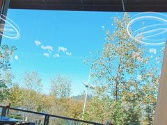 -宝荣鱼馆·临湖之宴(千岛湖店)