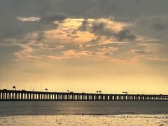 -宝安西湾红树林湿地公园