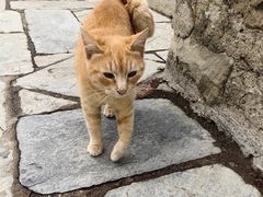 -梅黛奥拉修道院