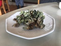 -哈味食店(外伶仃岛店)