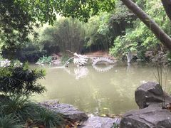 -汇龙潭