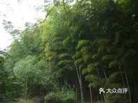 穹窿山景区图片