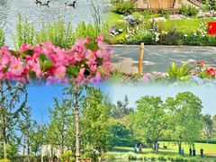 -武汉园博园(武汉自然博物馆)