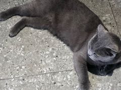 -NOTOOCAFE不二咖啡馆(岩前店)