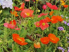 -人民公园(罗湖区)