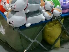 -上海光大会展中心国际大酒店