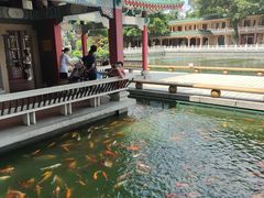-广东圆玄道观