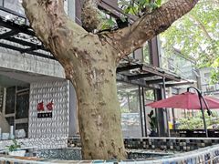 -凤凰御元艺术基地