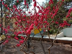 -长辛店二七公园