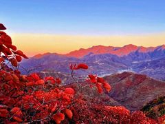 -水峪民俗村