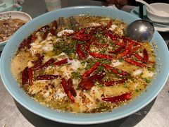 -姚姚酸菜鱼·金戈戈香港豉油鸡(喜荟城联名店)