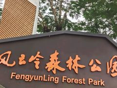 -风云岭森林公园