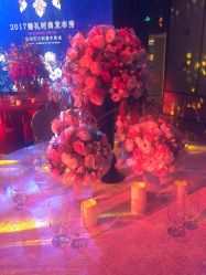 -M'S BANQUET AND SPACE ART