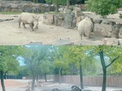 -上海野生动物园