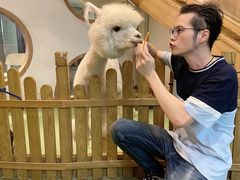 -藦茜花园宠物主题亲子互动体验馆(国顺东路店)