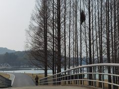 -上海月湖雕塑公园