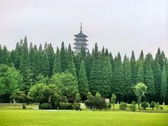 -宜兴龙背山森林公园