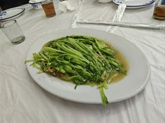 豆苗-老三鱼仔店